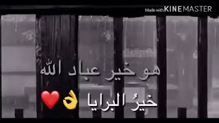 هوه خير عباد الله خير البرايا—ستندم اذا لم تنزل حاله جيله 😘😍