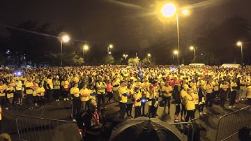 Darkness Into Light 2016 Time Lapse