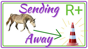 Clicker Challenge: Teaching your horse to turn after touching a cone and come back