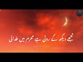 Ay Chand Muharram Ke Tu Badli Main Chala Ja | Noha 2023 | Anosh Fatima | video Lyrics | qasreabbas