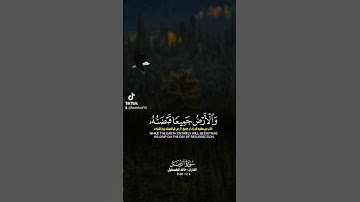 "وما قدروا الله حق قدره"#سورة_الزمر#القارئ#خالد_الجليل#قرآن#كلام_الله#راحة_نفسية#explore#pourtoi#شير