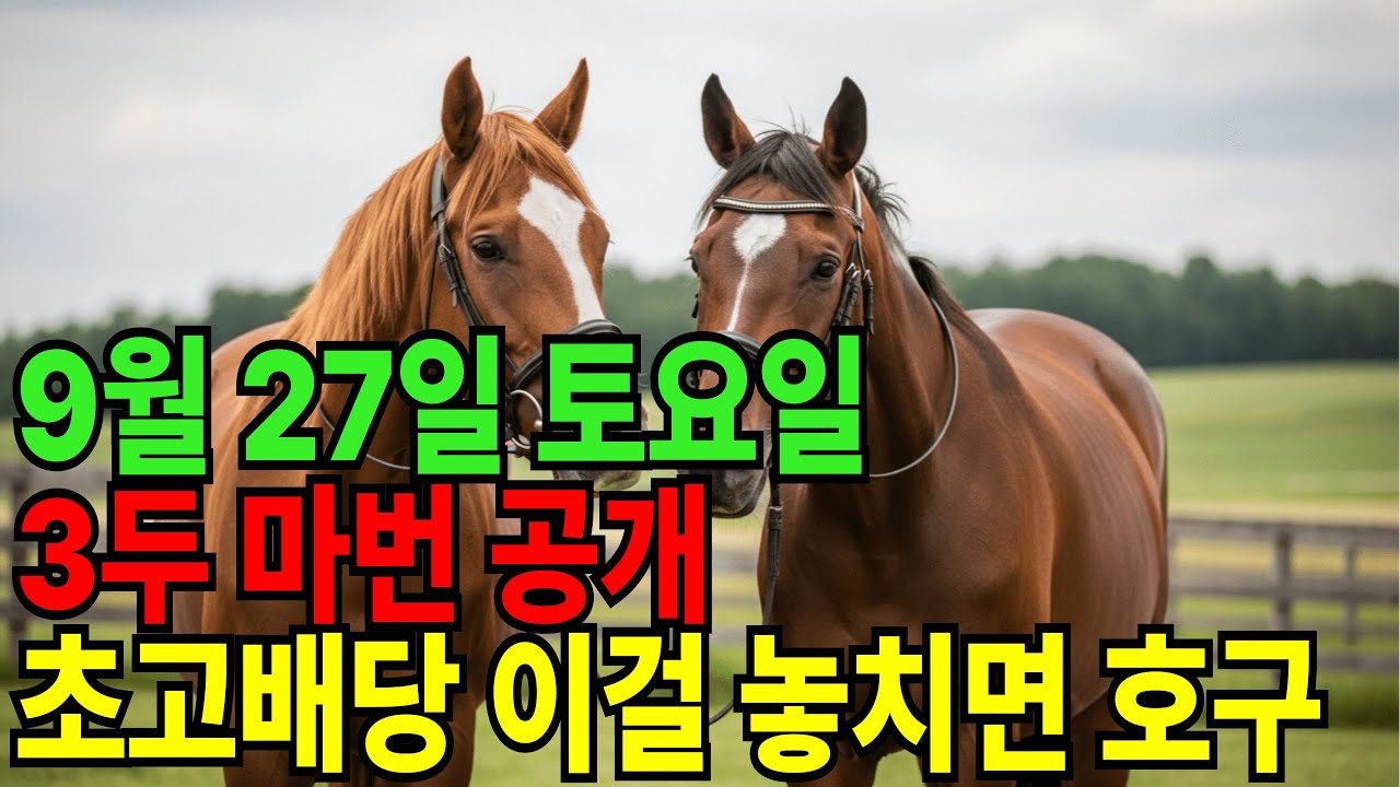 9월 27일 토요일 경마~초고배당 복병 공개, 이거 안 보면 그냥 호구다!ㅣ승전경마 전문가의 이변 포착” l 경마 l 경마정보 l 경마예상 l 코리아레이스 l 검빛경마
