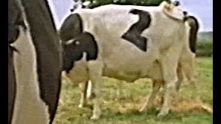 BBC2 continuity, trailer -  August, September 1992