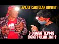 ULAR KENTUT SI KECIL YANG MENGERIKAN ! EXPEDISI ULAR BUNTET PART 1 FEAT HERU GUNDUL