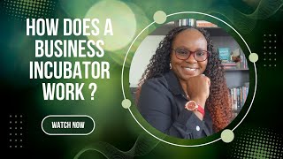 How Business Incubators Work | The Inner Workings of Incubators (Episode 2)