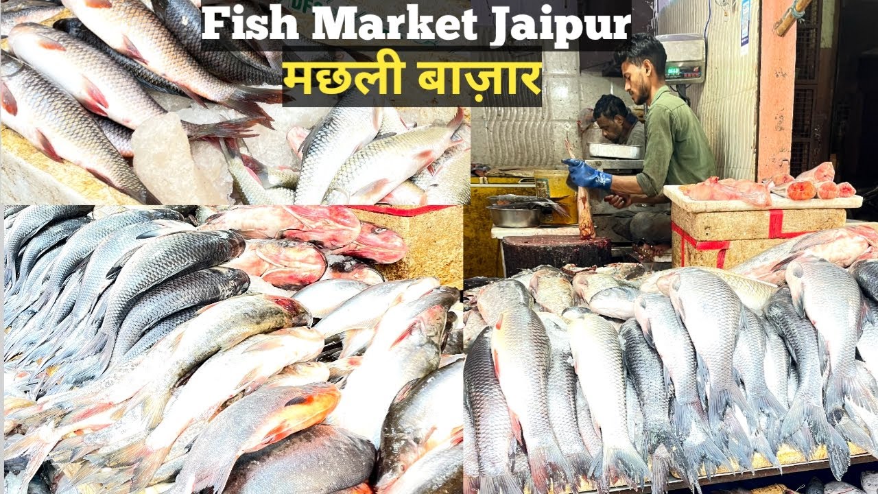 Fish Cutting skill fish market jaipur best sea food lobster