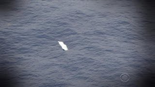 Sinking debris from plane crash near Jamaica deepens mystery screenshot 4
