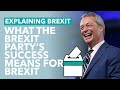 What the EU Election Results Mean for Brexit - Brexit Explained