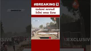 Dhanera News | ધાનેરામાં ભાજપની રેલીમાં ભમરા ઉડ્યા | BJP | Gujarat screenshot 5