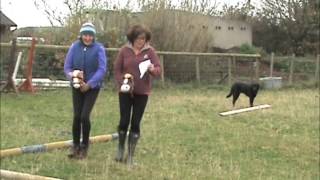 Music Fitted by Cheryl Weaver Stricty Music For Dressage