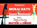 Masteran murai batu kelas juara nasional segudang materi  cililintengkekkenarijalak dll