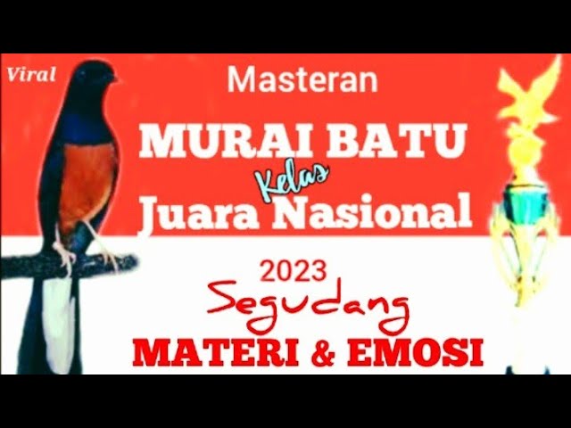 masteran MURAI BATU kelas JUARA NASIONAL segudang MATERI // Cililin,Tengkek,Kenari,Jalak, dll... class=
