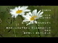 ♫ 《乙女のワルツ 》~ 藤田恵美#懐かしい曲