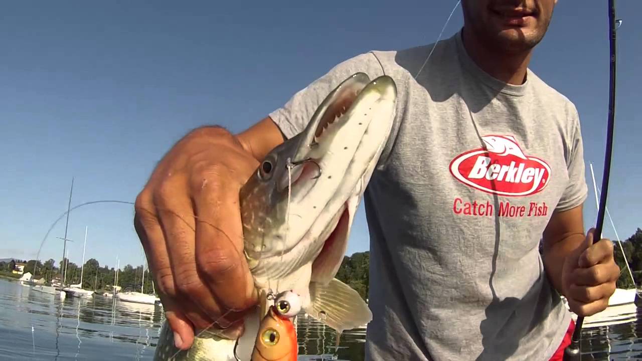 La pêche du Brochet au Léman - Pulse Shad
