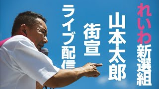 7.12_17:00京都河原町ガーデン、れいわ新選組山本太郎、西郷みなこ街宣ライブ配信