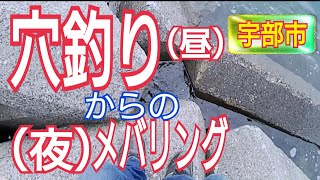 釣り坊主vlogの推定収益 Twitterの反応などをチェック Yt Cobitt Ranking