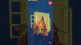Megan Moroney’s Floating Balcony Performance 😱🌸