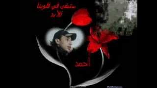 الباشق تاهت خطاوينا احمد زياد الزرعيني