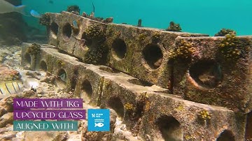 The Story Behind Our Reef Cubes