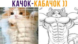 КОТ-КАЧОК (кабачок) ))) Приколы с котами | Мемозг 766