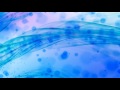 4K Blue Dirty Spots Particle Fluid 2160p Motion Background