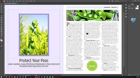 IN CC 2020 CIAB CH 6 Editing Text Danielle Oser Source