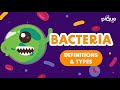 Bacteria definition  types  primary school science animation