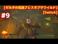 #9 [MasterMode] 鳥貴族ボスから砂漠へ [ゼルダの伝説ブレスオブザワイルド][Switch]