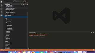 Build a 1-many WebRTC video conference in a blink using thor-io,nodeJS and TypeScript