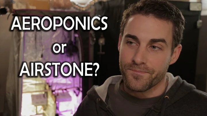 Airstone vs Aeroponics - Something Overlooked...