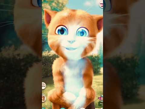 Ginger Cat With Effects Shortsfeed Shorts