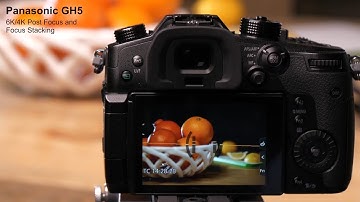 Lumix Academy GH5 | How to use Post Focus & Focus Stacking