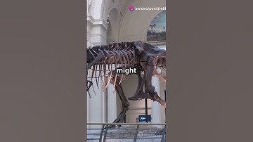 Mind-Blowing Science Facts You Didn