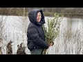 К родителям с гостинцами! Я в шоке,мы в сказке! Неимоверная красота,иногда нужно быть Журавлевыми!!