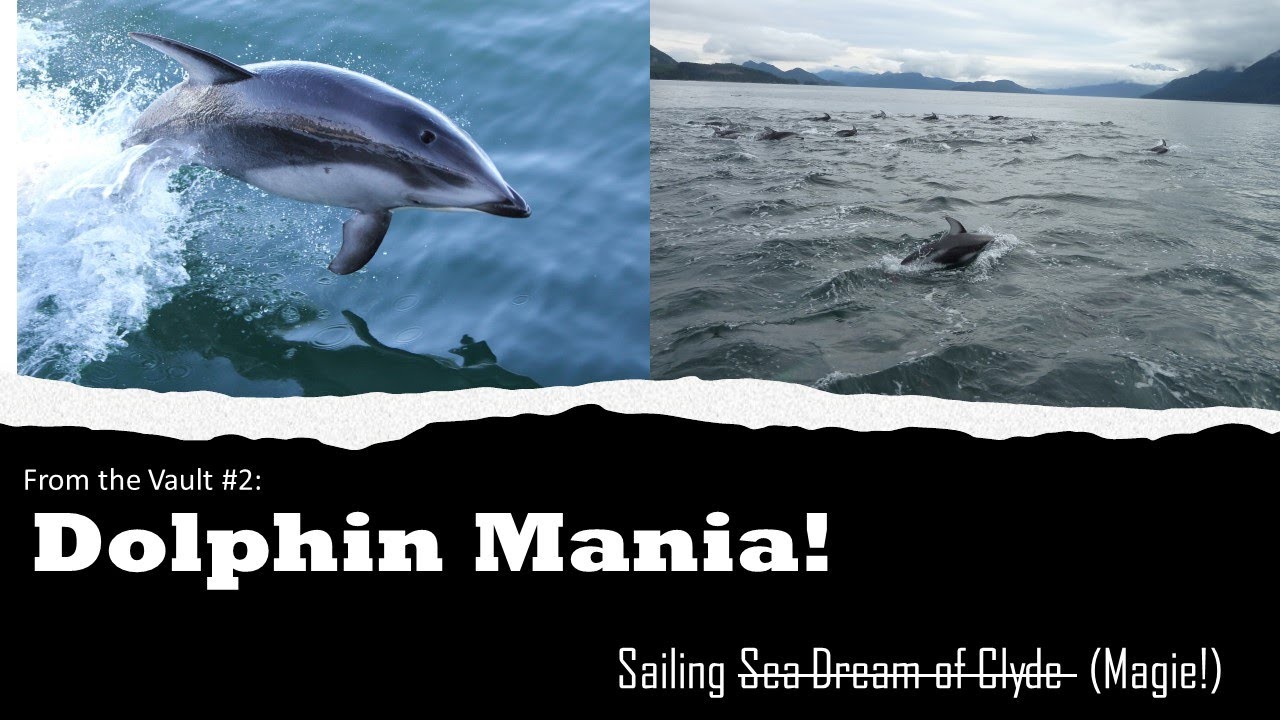 Hundreds of DOLPHINS surround a CATALINA 27! - From the Vault #2 - Sailing Sea Dream of Clyde