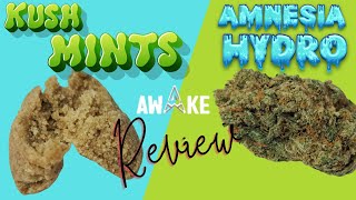 KUSH MINTS & AMNESIA HYDRO de AWAKE CBD - Flor, Hash Cáñamo Review - Green Station CBD