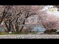Fan Film 竹内まりや「人生の扉」4K
