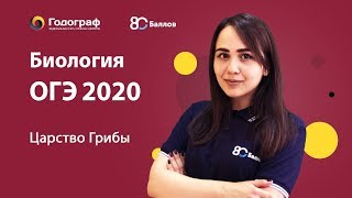 ОГЭ по Биологии 2020. Система, многообразие и эволюция живой природы. Царство Грибы