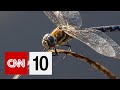 Current Events and Environmental Issues