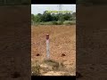 Agriculture land for sale || Double Dambar BT Road BIT || 15 Guntas || #youtube #farming #shorts