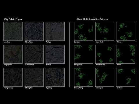 Canny Edge - Slime Mold Pattern