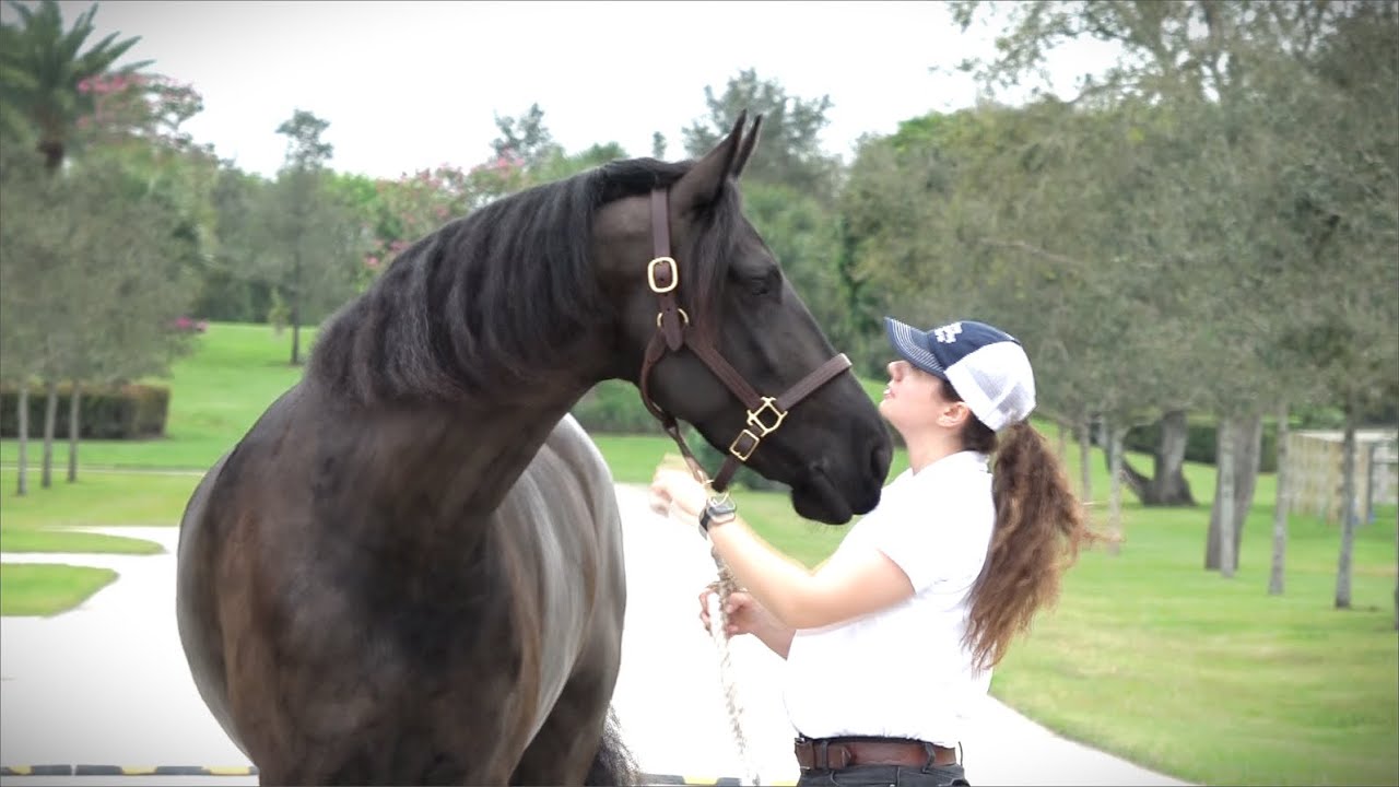 SOLD! Jannabelle ISF by Tjalbert 460 x Teade 392, Sport - A Day in the Life of Jannabelle