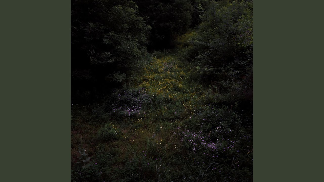 Fireworks - Woods II accordi