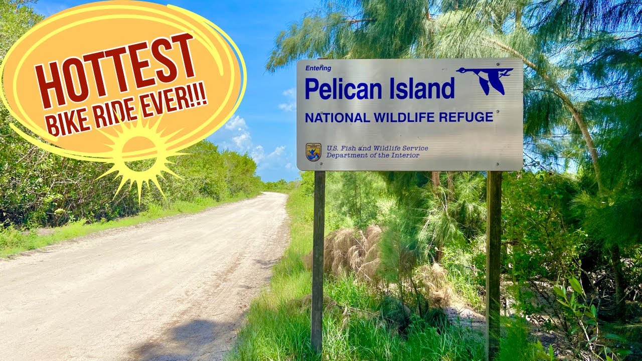 Things To Do In Vero Beach FL Indian River Historic Jungle Trail YouTube things-to-do-in-vero-beach-fl-indian-river-historic-jungle-trail-youtube