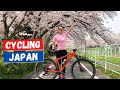 Hanami Cycling in Japan 🌸 Cherry Blossoms in Full Bloom