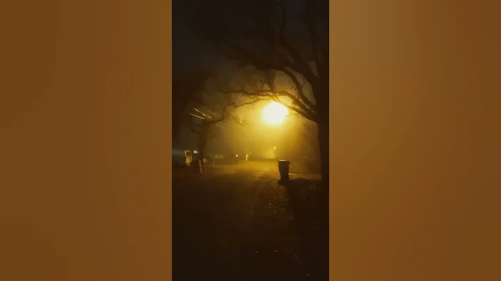 Fog in Dallas Texas