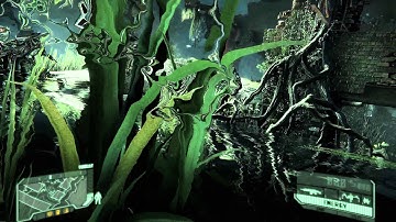 Crysis 3 maxed out 2560*1600 2