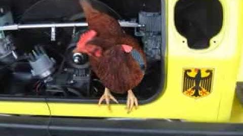 finishing installing "MAGNASPARK"dist.