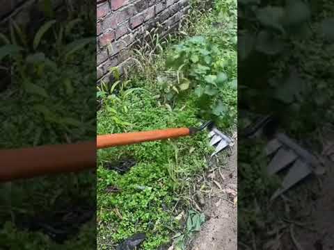 Видео: Различные типы садовых мотыг: использование мотыг в саду
