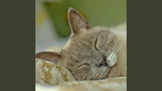 Celestial Cat Raindrops